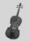 Tenorvioline